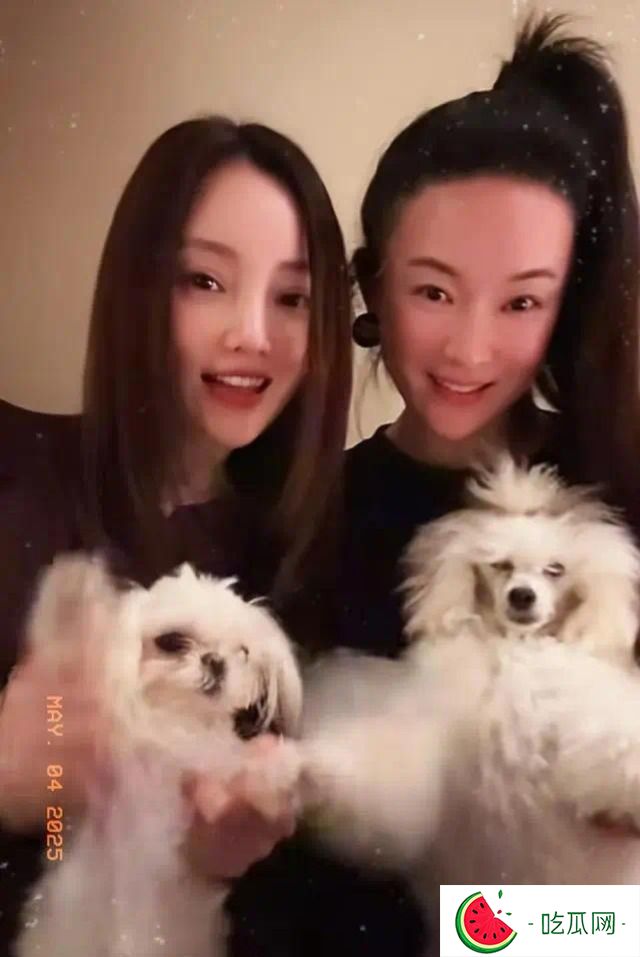 李小璐霍思燕两家同游，霍思燕植发没了发际线，贾乃亮躲得远远的