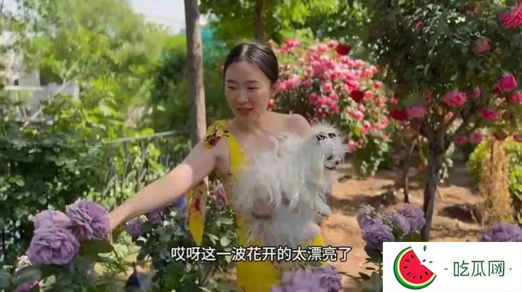 44岁霍思燕晒京郊花园，每天亲自打理，抱七万宠物狗逛花园好贵气