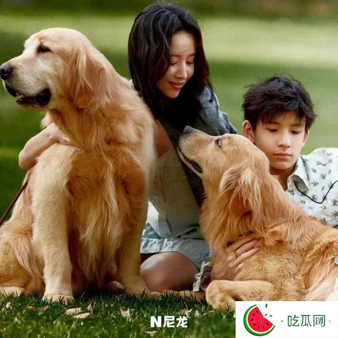 董洁儿子神似梁朝伟！不像爸爸潘粤明，大鼻子跟梁朝伟如出一辙