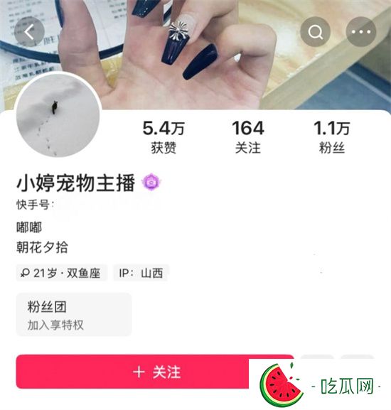 快手主播小婷 为圈钱毫无下限 直播强行与宠物金宝舌吻索要礼物 这波操作炸裂全网!-吃瓜网