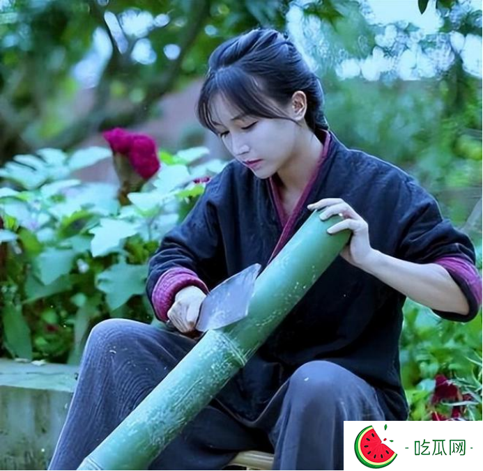 停更三年才回归的李子柒，越来越不对劲了！