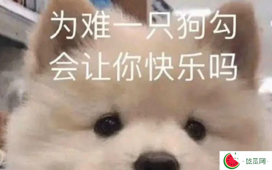 E句话|彭于晏方否认与蔡依林恋情
