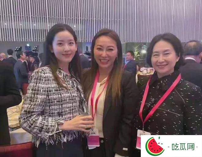 章泽天合影何超莲惹人怜，眉眼温柔像小白花，窦骁老婆嘴大气场强