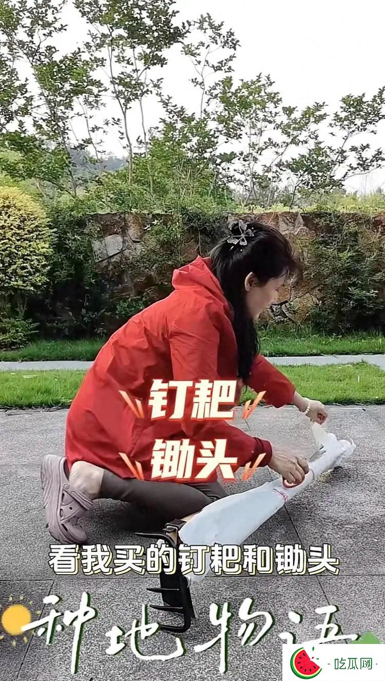 何赛飞杭州豪宅后院忙种蒜！63岁穿洞洞鞋干农活，毫无明星架子
