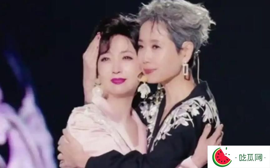 叶童和赵雅芝本就不是一路人啊