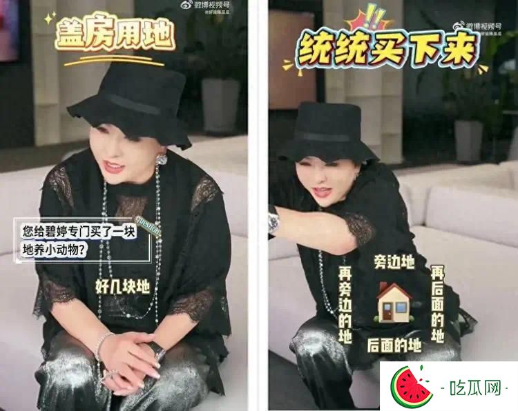 向太给郭碧婷买了“好几块地”，她俩之间，郭碧婷段位更高