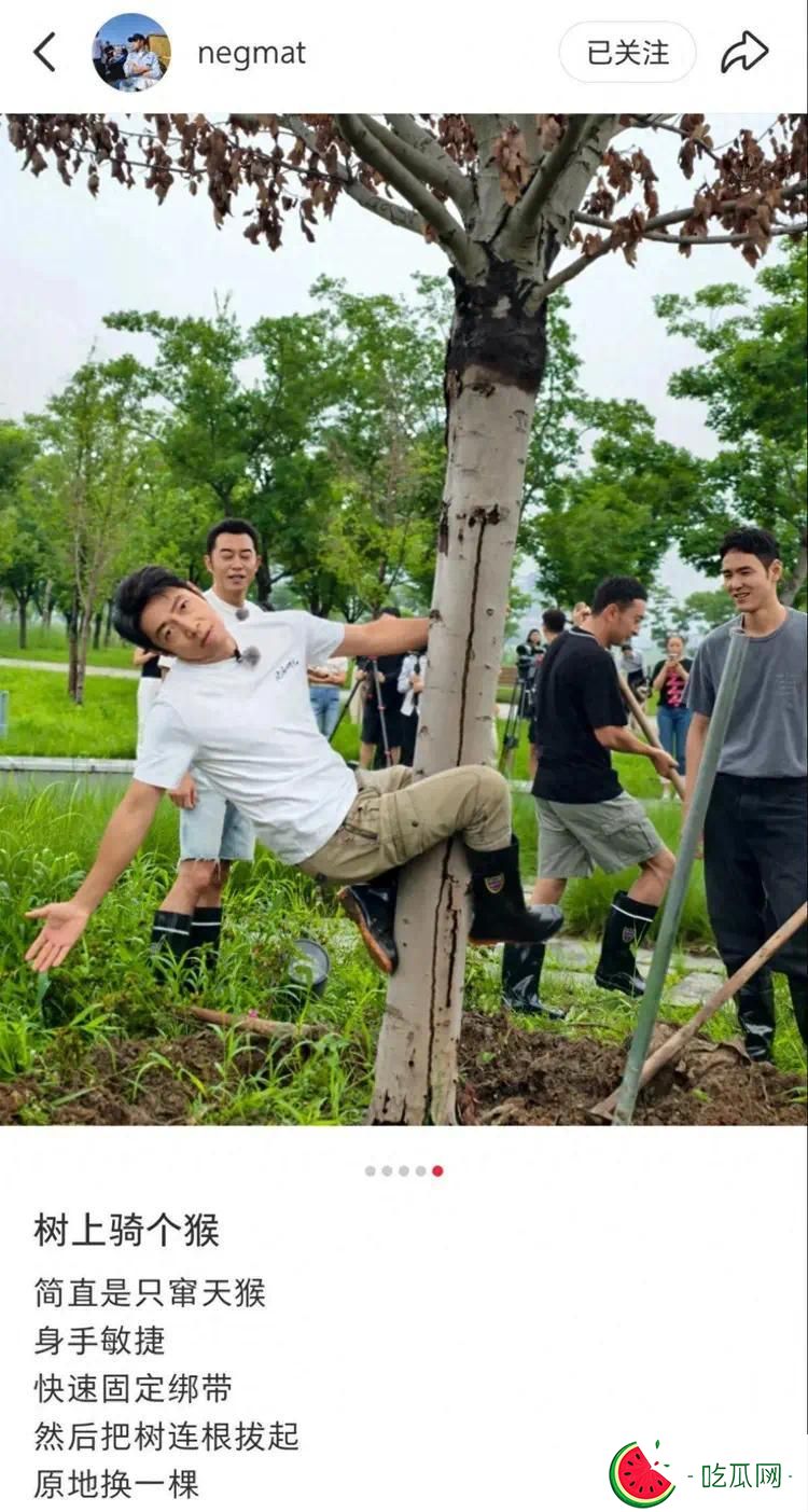 尼格买提发文“树上骑个猴”，撒贝宁这表情绝了，调皮孩子上线！