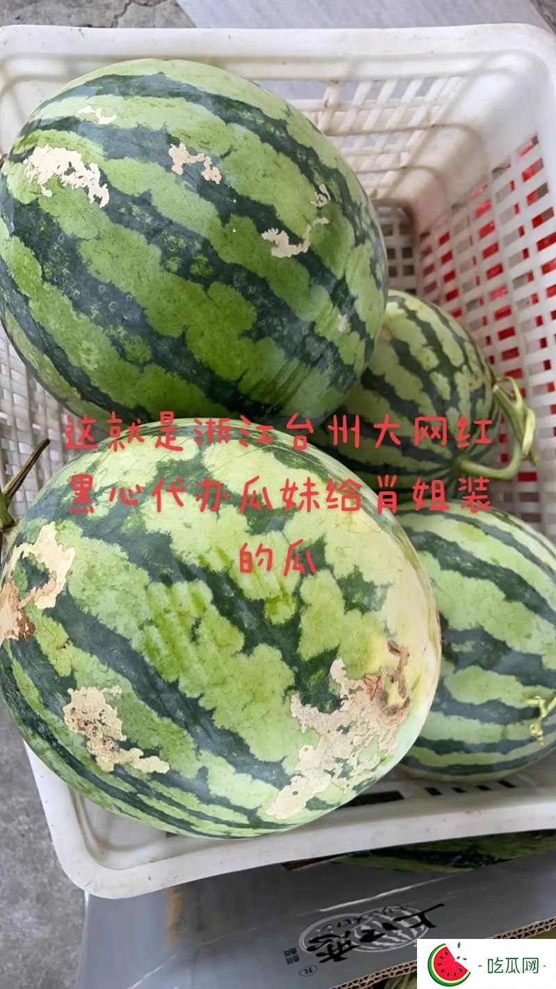 51今日大瓜 热门大瓜,51cg今日吃瓜热门大瓜路线最新