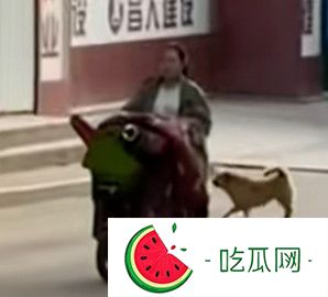 你个logo是什么梗？不了解要吃亏