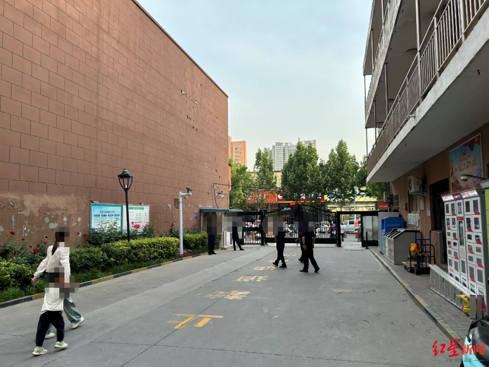 智力残疾老人、脑瘫女孩，一桩“**疑云”之后
