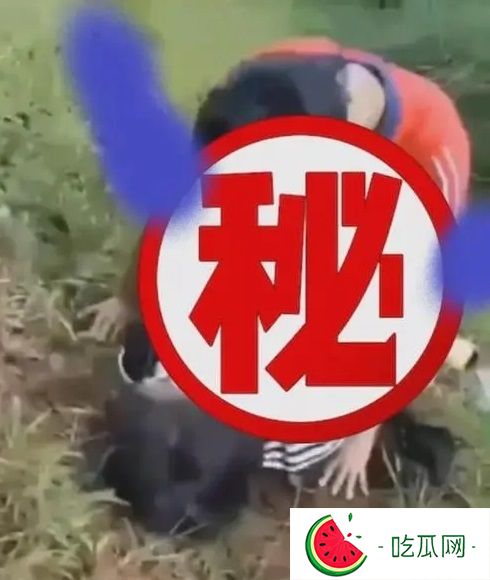 周口刘双婷麦地战神的视频是啥意思？有什么瓜？