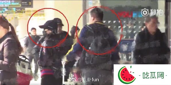 又虐狗！柳岩与富二代男友恋情终于坐实？