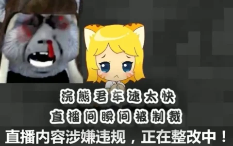 虎牙浣熊君zwkb直播事故事件 浣熊君直播陪玩kb回放视频