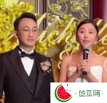 卫诗雅结婚 容祖儿蔡卓妍关智斌温碧霞出席婚礼