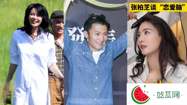 王菲日前被拍参加谢霆锋演唱会，张柏芝则神隐。