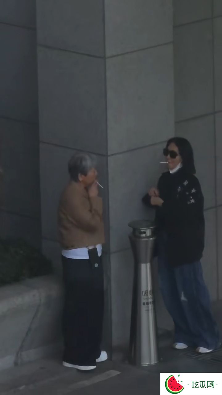 因为蓄白灰色短发，所以被网民误认是叶童。
