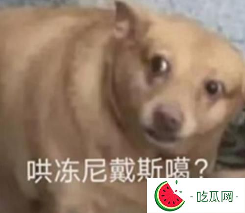 五条悟的官配cp是不是夏油杰？