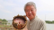 83岁蔡澜出院后新相曝光！大病初愈真实状态惹热议