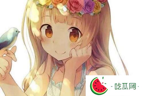 小鸟酱事件始末(小鸟酱到底是干什么的)