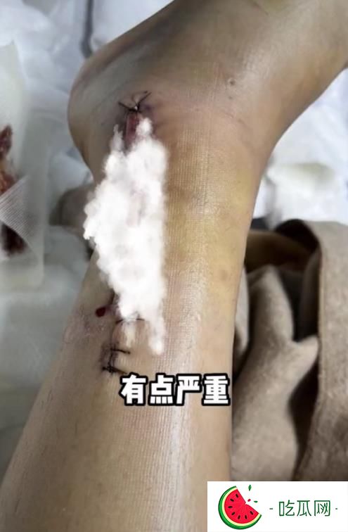 陈学冬的剧为什么都下了？陈学冬半辈子白干了什么梗？