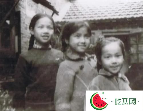 马思纯的家世到底多牛？家里人不是影后就是学霸
