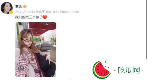 李念现任老公是谁？她现在几个宝宝了？