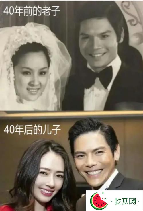 陈岚是向华强第几任妻子(向华强情史回顾)