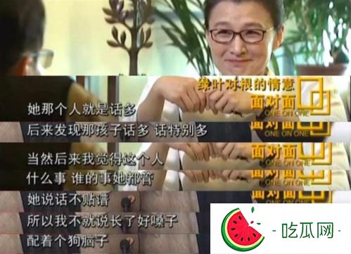 那英怎么中途退出中国好声音(为什么有那么多人黑那英)