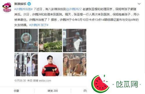 许魏洲和谁结的婚(许魏洲多少岁个人资料简介)