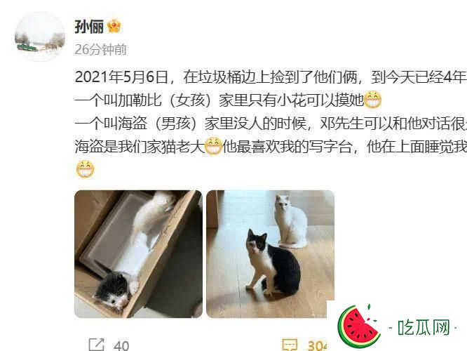 孙俪晒收养4年2只流浪猫，称邓超能和它对话很久，猫名字绝了