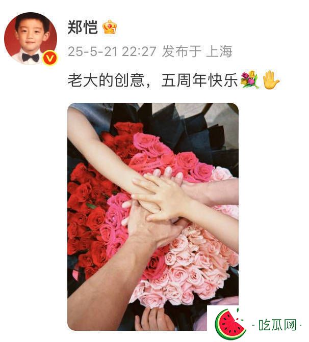 郑恺晒全家叠手照与苗苗纪念结婚五周年
