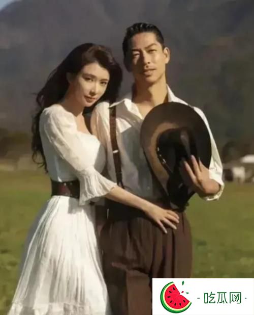 林志玲嫁到日本后让人心寒 主要三点原因