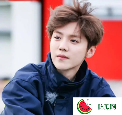 为什么何炅不喜欢鹿晗(鹿晗的惊天大秘密曝光)