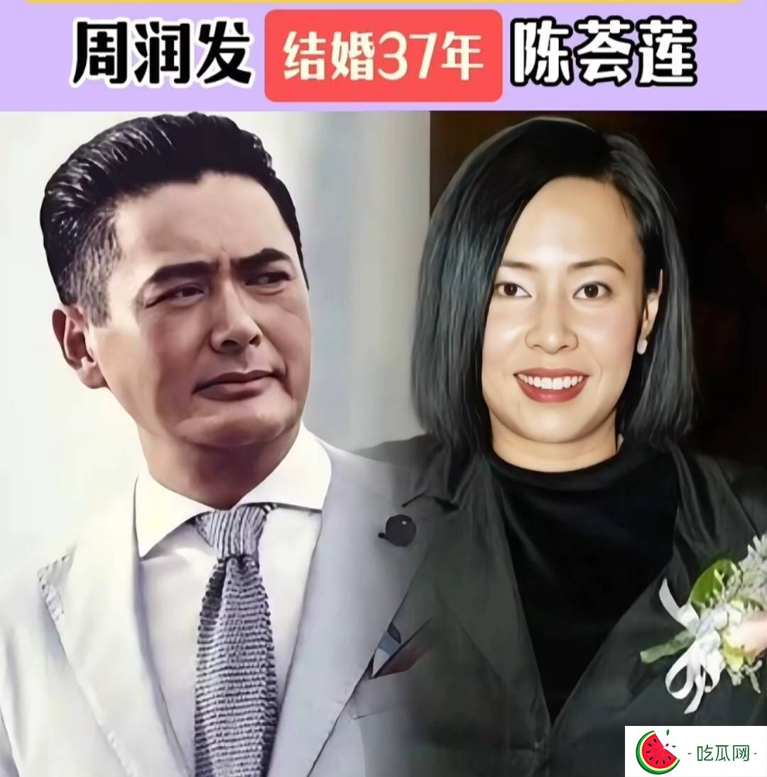 娱乐圈坚持丁克的10对夫妻，这么好的基因，没有后代可惜了