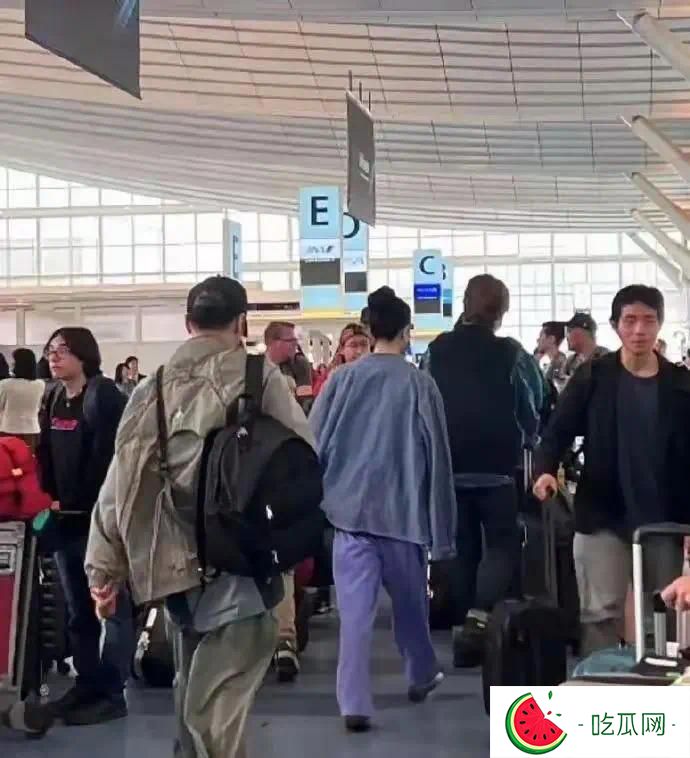 一场旅行看透“锋菲恋”真相，只会当妈的张柏芝、输给王菲是必然