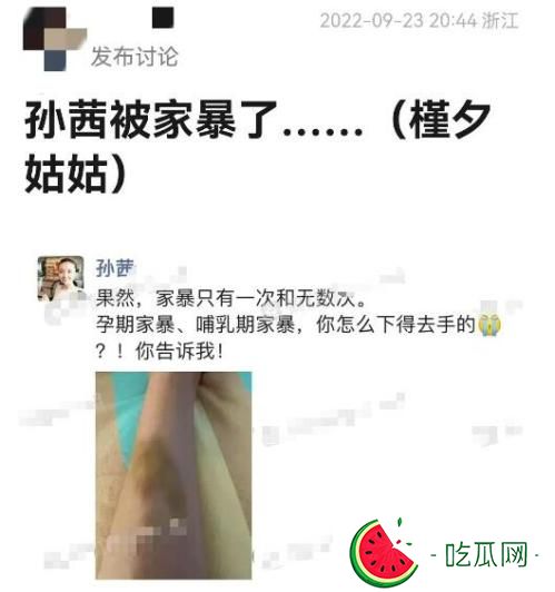 孙茜孕期被老公家暴？孙茜老公蔡远航的个人资料家世