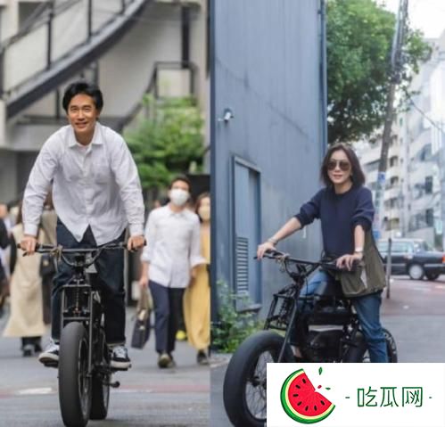 刘嘉玲梁朝伟不生宝宝的原因(刘嘉玲梁朝伟为什么选择丁克)