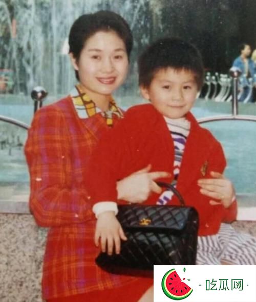武艺妈妈个人资料，她为什么那么有钱？她香港人湖南口音是怎么回事？