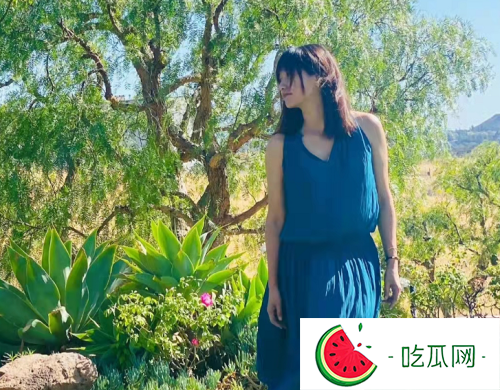 徐静蕾老公是谁啊(徐静蕾的历任前男友盘点)