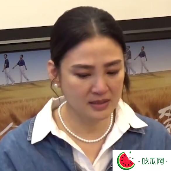 洪小铃产后首次露面 谈父亲因流感去世泪崩