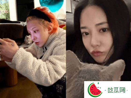 权志龙方否认与李珠妍恋爱：两人曾在济州岛共度4天3夜
